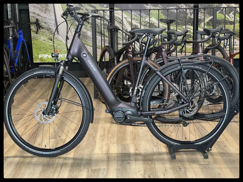 DailyTour E+ 3 LDS D 25km/h Medium Rosewood 2022-1